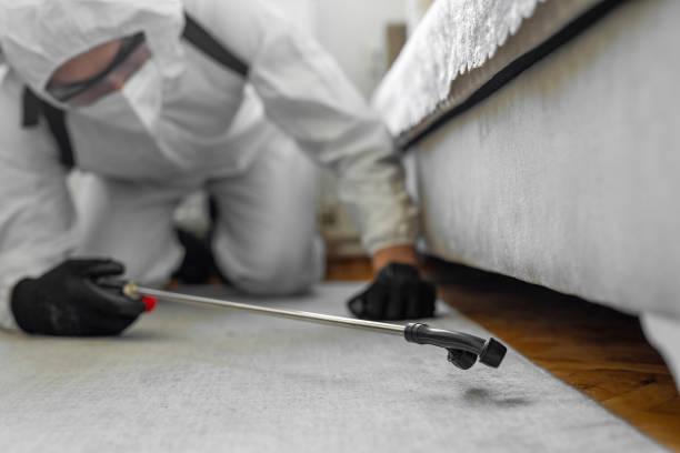 Professional Mosquito Control technician working in Saline County County, MO